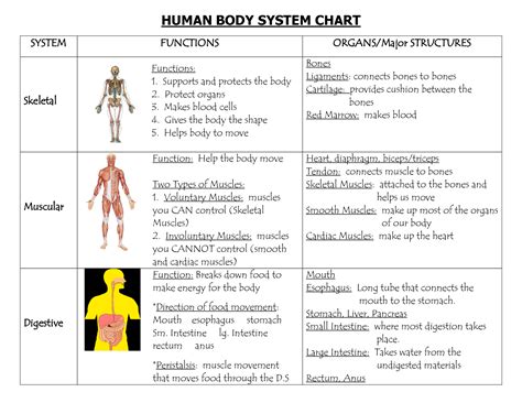 Our body is made up of different parts that have specific functions. To.